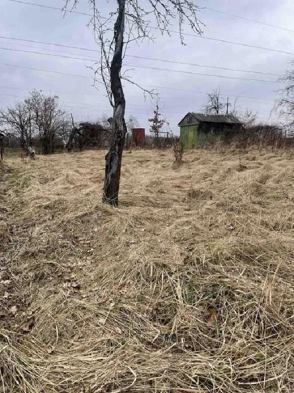  - фото нерухомості